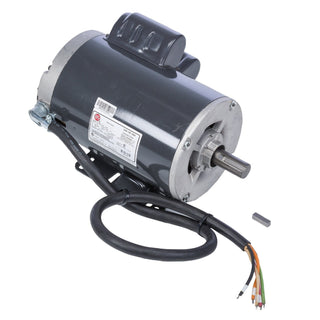 Ridgid 27282 Motor, 220V/240V 50Hz