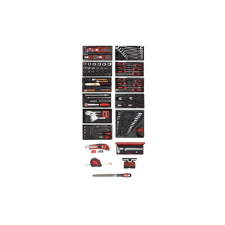 Gedore R21010002 Tool set 11xCT Modules +var.Tools 166pcs