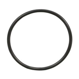 3M O-Ring 55079