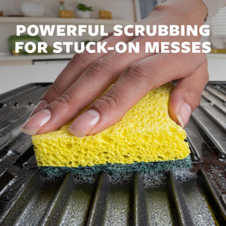 Scotch-Brite® Heavy Duty Scrub Sponge 429-5