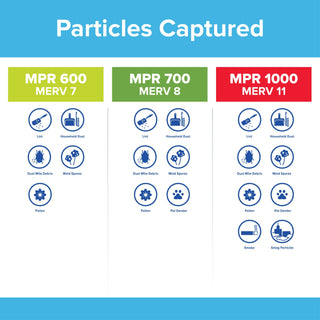 Filtrete Pollen Air Filter, 600 MPR, 9882-4, 20 in x 30 in x 1 in