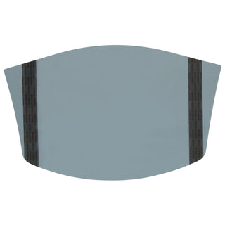 3M Versaflo Tinted Peel-Off Covers M-924, for M-927 Premium Visor