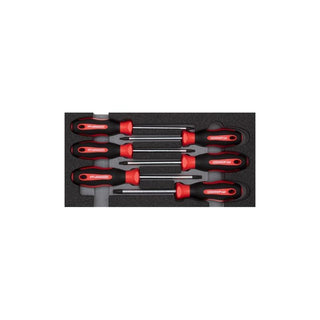 Gedore R22150015 Screwdriver set TX 2/6 CT-module 6pcs