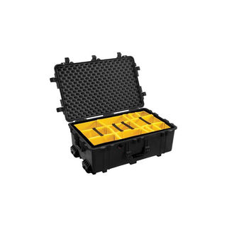 Pelican 016500-0040-110 1654 Camera Case