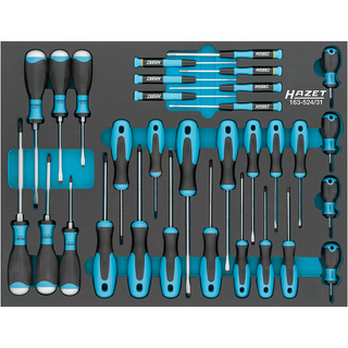 Hazet 163-524/31 Screwdriver Set, 31 Pieces