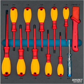 Hazet 163-546/12 Screwdriver Set with Protective Insulation, 12 Pieces