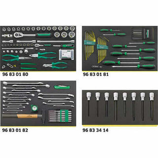 Stahlwille 97830607 2502 TCS Workshop set for BMW motorbikes