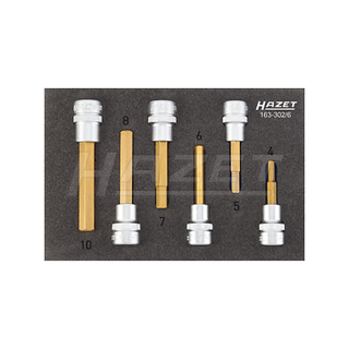 Hazet 163-302/6  Screwdriver socket set