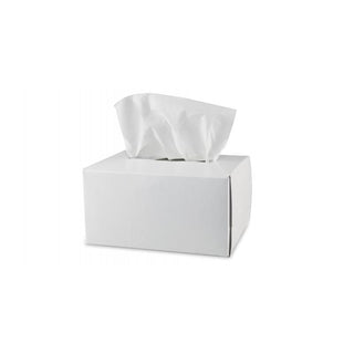 Pyramex LT300 Box of 300 Lens Cleaning Tissues