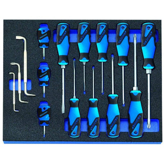 Gedore 2016311 Screwdriver set in 2/4 CT tool module, 15 pcs